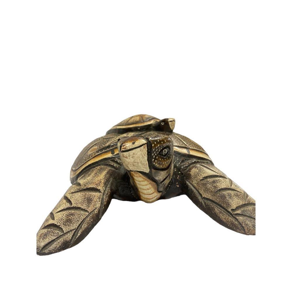 Decorative Wooden Turtle Display